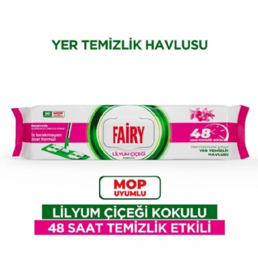 Fairy