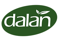 Dalan